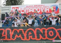 Limanovia w „głębokim szoku” - zdjęcie główne