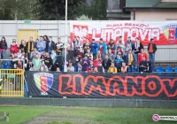 Kibice Limanovii organizują akcję charytatywną dla Madzi - zdjęcie główne