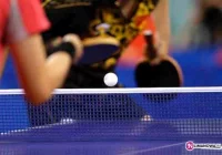 Wśród najlepszych w województwie - zdjęcie główne