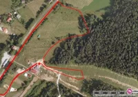 Wielkie bieganie w Kasinie Wielkiej - zdjęcie główne