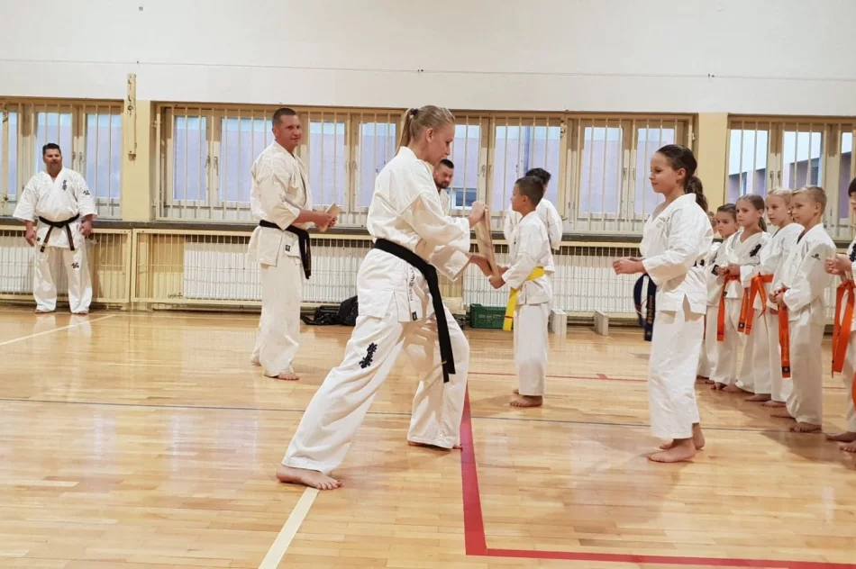 Pokaz Karate w limanowskiej “trójce” na Pikniku Integracyjnym - zdjęcie 3