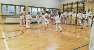 Pokaz Karate w limanowskiej “trójce” na Pikniku Integracyjnym - zdjęcie 4
