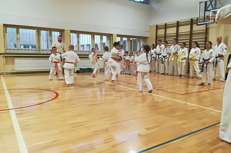 Pokaz Karate w limanowskiej “trójce” na Pikniku Integracyjnym - zdjęcie 4