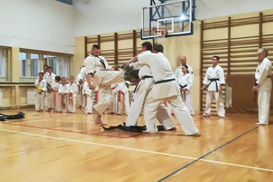 Pokaz Karate w limanowskiej “trójce” na Pikniku Integracyjnym - zdjęcie 5
