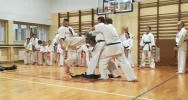 Pokaz Karate w limanowskiej “trójce” na Pikniku Integracyjnym - zdjęcie 5