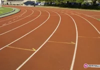 Sportowy sukces uczniów Ekonoma - zdjęcie główne