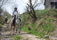 Długodystansowy rajd konny - zdjęcie główne