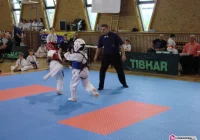 'Młode Pięści” i 17 medali - zdjęcie główne