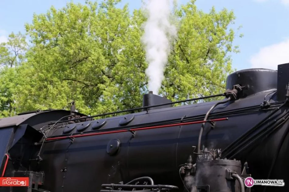 Pociąg retro 2014 - zdjęcie 18