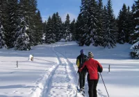 W niedzielę pierwsze mistrzostwa Kasinki Małej i Kasiny Wielkiej - zdjęcie główne