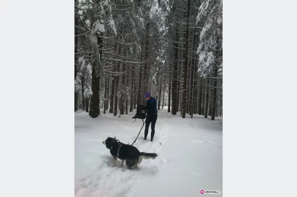 I Dogtrekking Frikaj.pl   7 kwiecień 2013 - zdjęcie 3