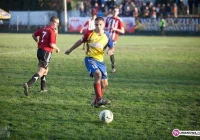 Serafin szybko wraca do zdrowia - zdjęcie główne