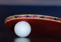 Piotr Dziedzic w czołówce turnieju w Oświęcimiu - zdjęcie główne