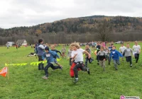 Bieg Niepodległości: wyniki - zdjęcie główne