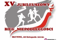 Jubileuszowy Bieg Niepodległości - zdjęcie główne