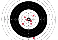 Rywalizowali na strzelnicy - zdjęcie główne