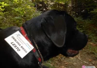 'MASAKRA!' - zdjęcie główne