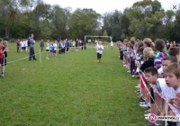 Najlepsi w powiecie w biegach przełajowych - zdjęcie główne