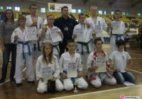 Dziewięć medali w Katowicach - zdjęcie główne