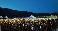Koncert udany, ale niemiły koniec - zdjęcie 4