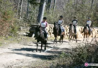 Puchar Beskidu Wyspowego - zdjęcie główne