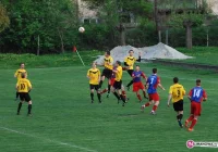 Bochnia zatrzymana w Tymbarku - zdjęcie główne