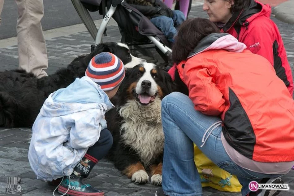 ULICA 26 STREET ART w Limanowej - zdjęcie 3