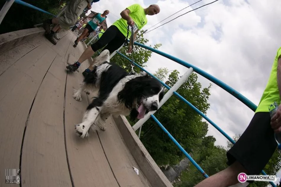 V Limanowa Forrest - zdjęcie 20