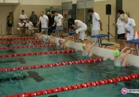 O Puchar Starosty w pływaniu: wyniki - zdjęcie główne