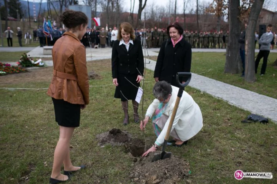 Tablice odsłonięte, dęby posadzone - zdjęcie 2