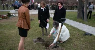 Mszana Dolna pamiętała - zdjęcie 2