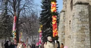 Wyniki konkursu palm. Najwyższa miała 17,5 metra - zdjęcie 4