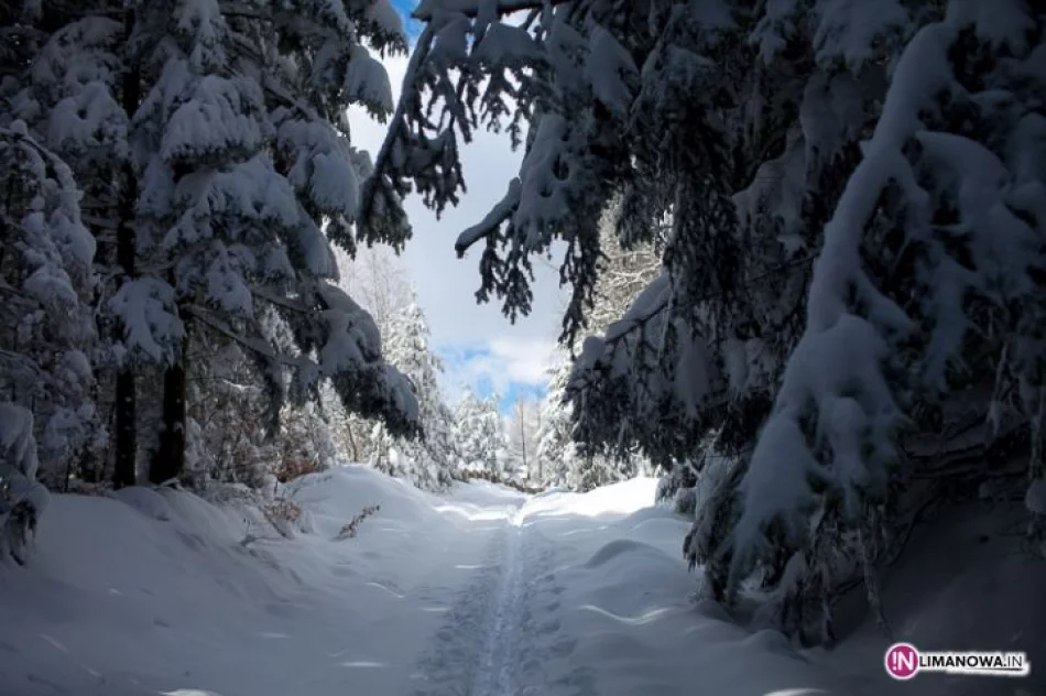 Zima w górach - zdjęcie 2