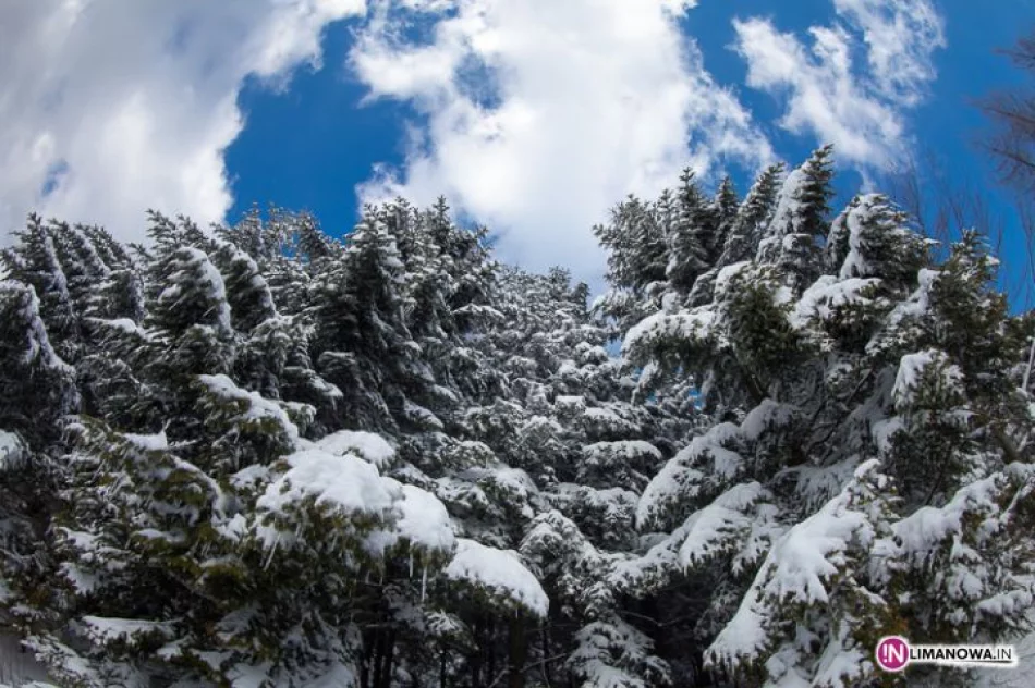 Zima w górach - zdjęcie 11