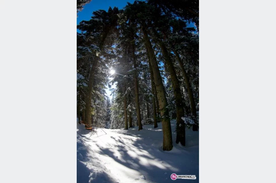 Zima w górach - zdjęcie 17