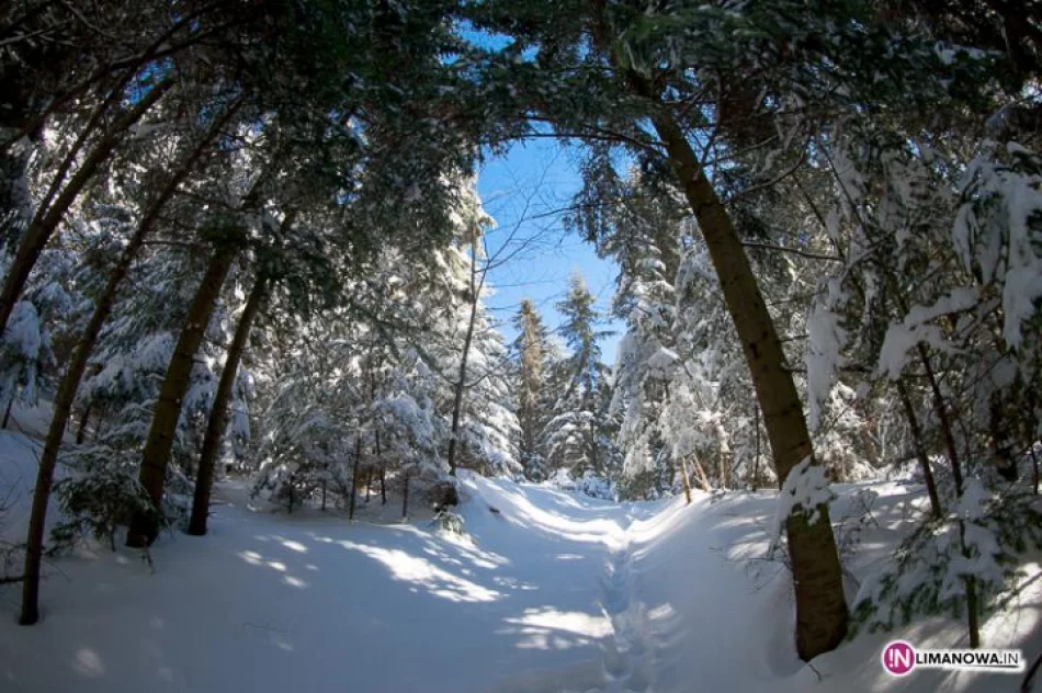 Zima w górach - zdjęcie 19