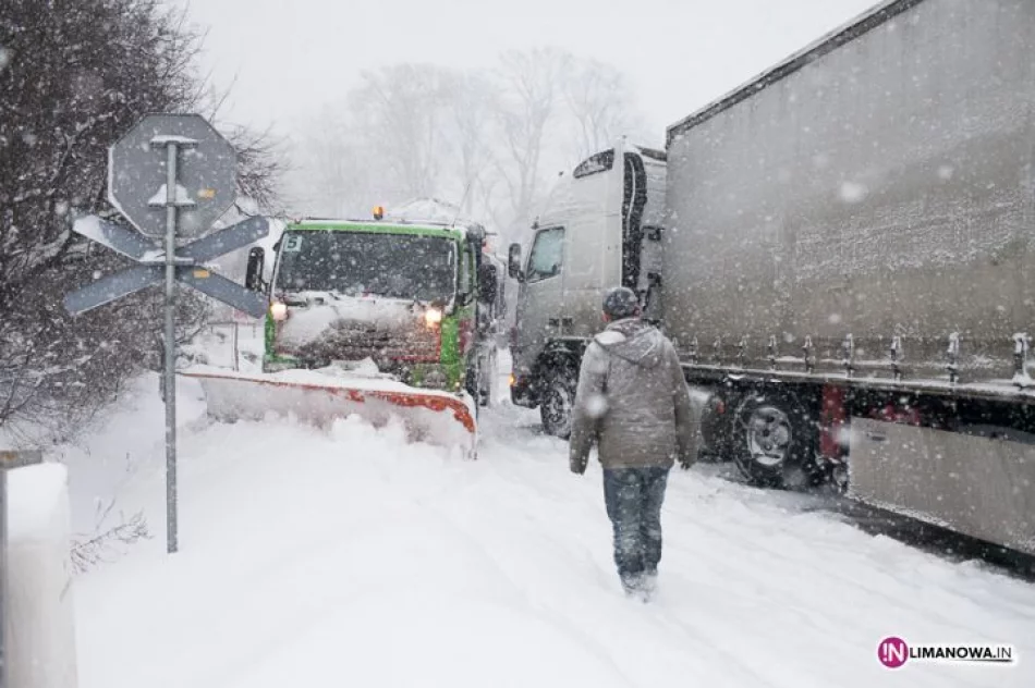 Atak zimy 15 marca 2013 roku - zdjęcie 8