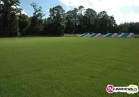Kibice wracają na stadion - zdjęcie główne