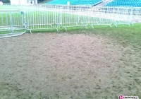 Interesujący koncert, fatalna murawa - zdjęcie główne