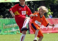 Rozegrano finał wojewódzki - zdjęcie główne