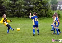 Finał wojewódzki w Tymbarku - zdjęcie główne