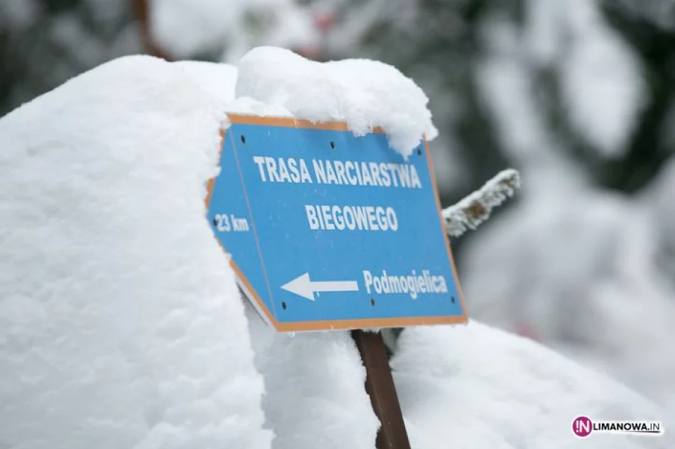 Bieg narciarski wokół Mogielicy - zdjęcie 11