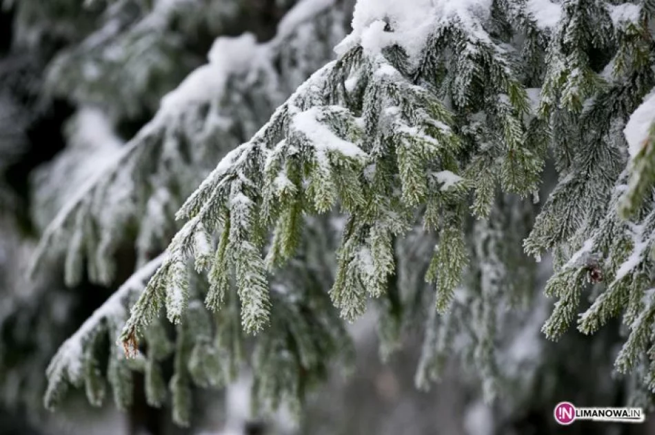 Zobacz Mogielicę zimą - zdjęcie 6