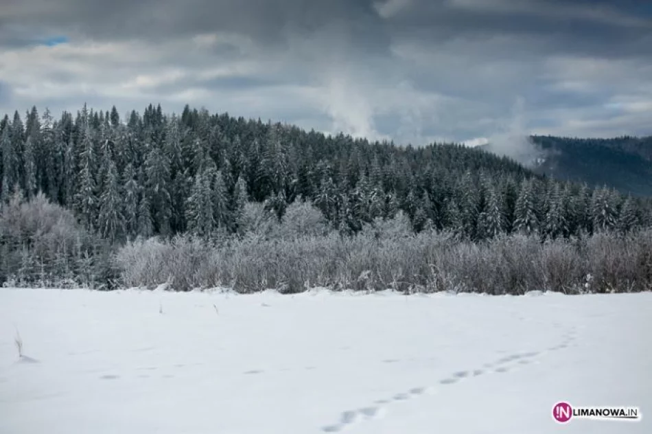 Zobacz Mogielicę zimą - zdjęcie 7