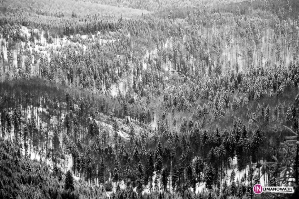 Zobacz Mogielicę zimą - zdjęcie 12