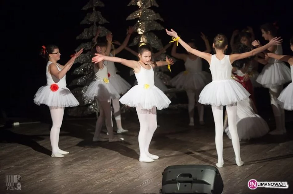 21. Finał WOŚP w Limanowej - zdjęcie 12