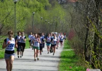 O mistrzostwo w biegach przełajowych - zdjęcie główne