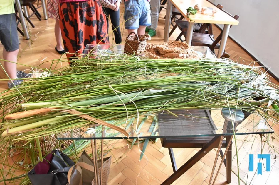 Wakacje w bibliotece – podsumowanie - zdjęcie 4