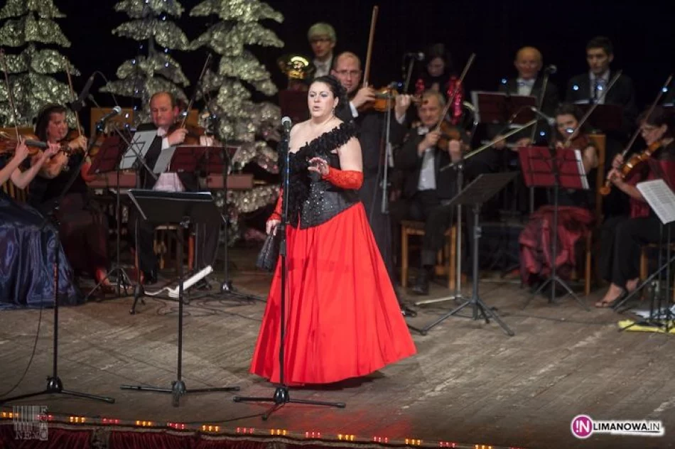 Koncert Noworoczny 2013 - zdjęcie 10