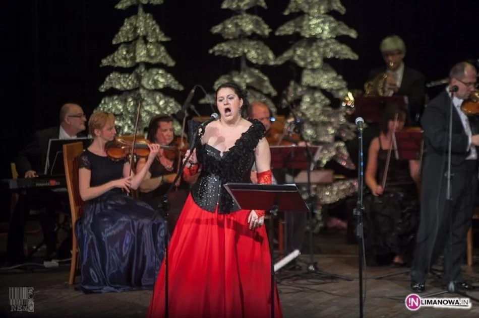 Koncert Noworoczny 2013 - zdjęcie 12